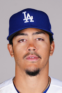 Miguel Vargas